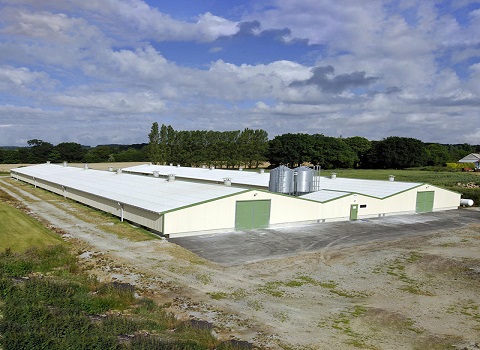 steel structure chicken house