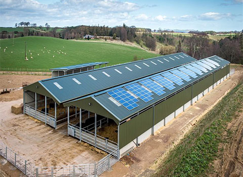 portable sheep shed